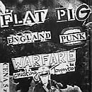 Flat Pig.jpg Flat Pig.jpg
